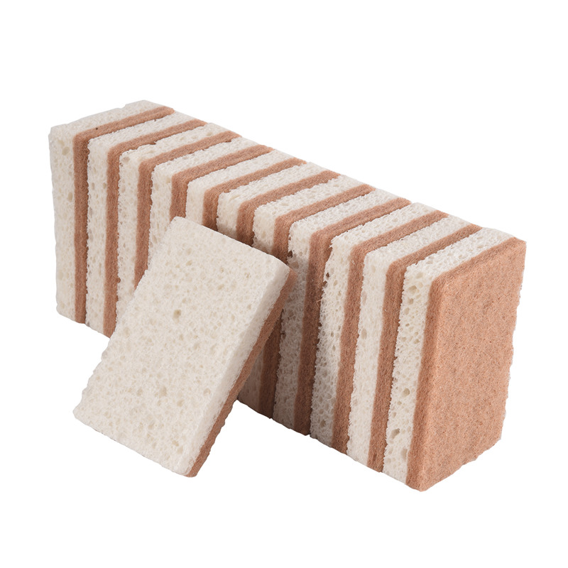 ฟองน้ำธรรมชาติรักษ์โลกสำหรับล้ - Eco Sponge บทวิจารณ์และราคา