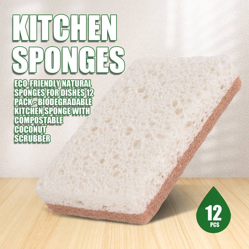 ฟองน้ำธรรมชาติรักษ์โลกสำหรับล้ - Eco Sponge บทวิจารณ์และราคา